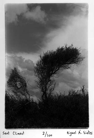 (c) Miguel Ángel Síntes Puertas