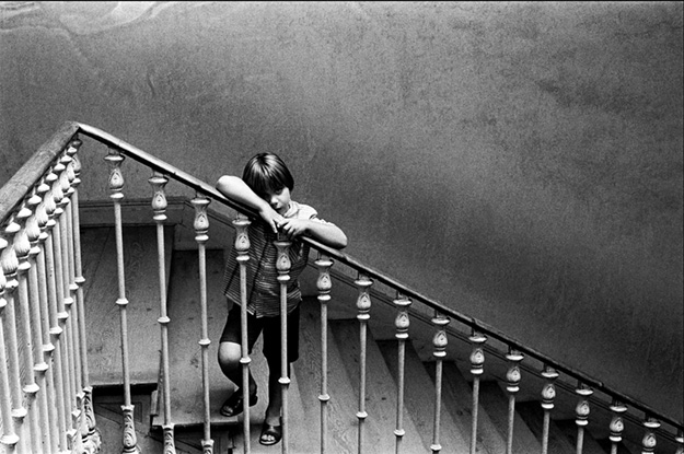 (c) José F. Gálvez / Nino